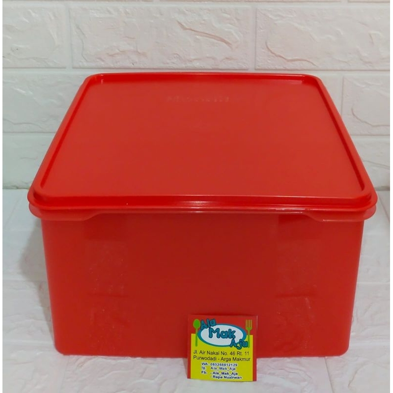 Toples Moorlife big cassa