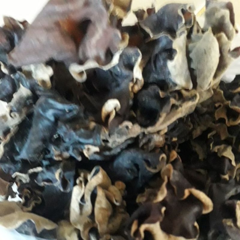 

jamur kuping/sedap malam/bumbu tekwan kemasan ekonomis