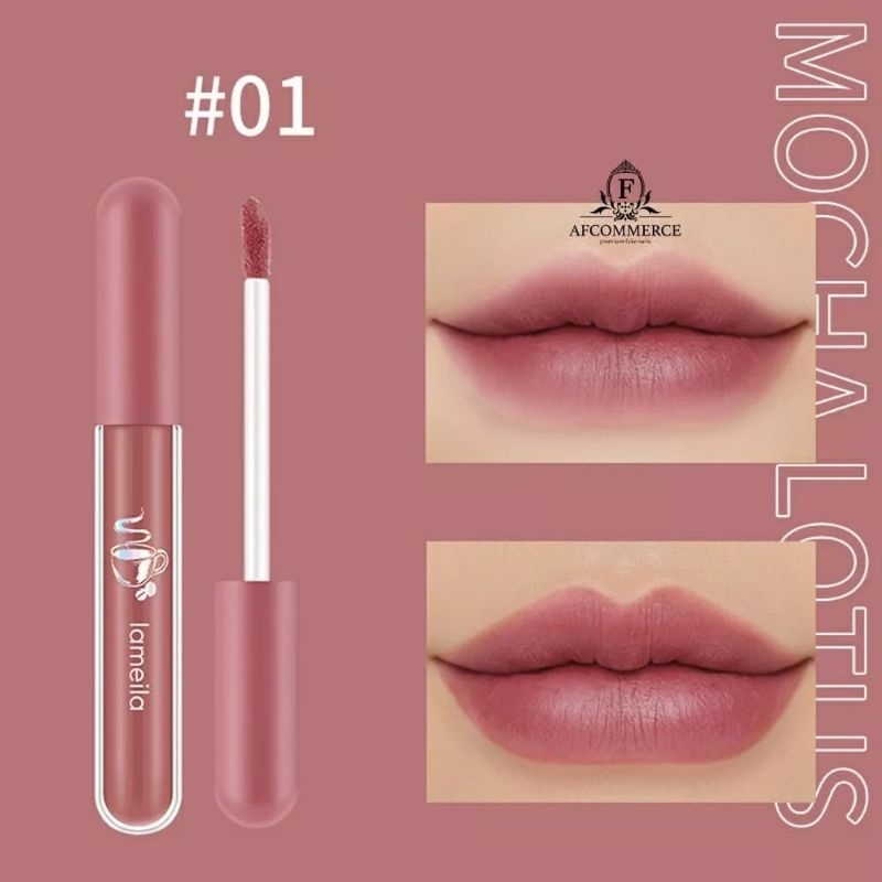 Lameila Lip Glaze Matte Lipstick Anti Air Lipstik Velvet Lip Gloss DJ 1041