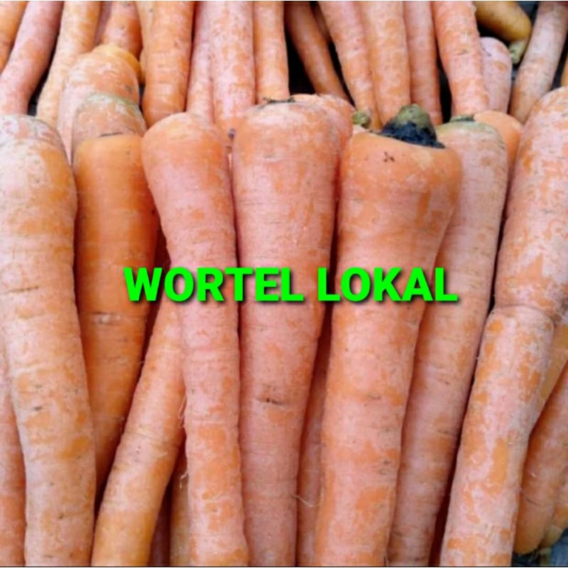 

WORTEL LOKAL KHUSUS PARA SULTAN 1 KG (PREMIUM QUALITY)