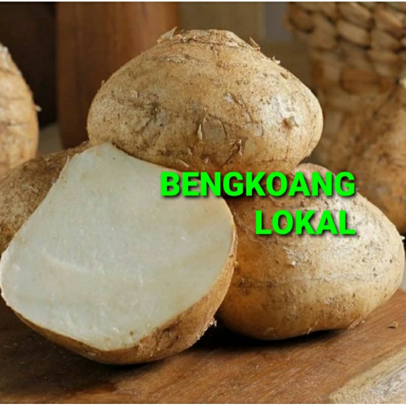 

BENGKOANG LOKAL KHUSUS PARA SULTAN 1 KG (PREMIUM QUALITY)