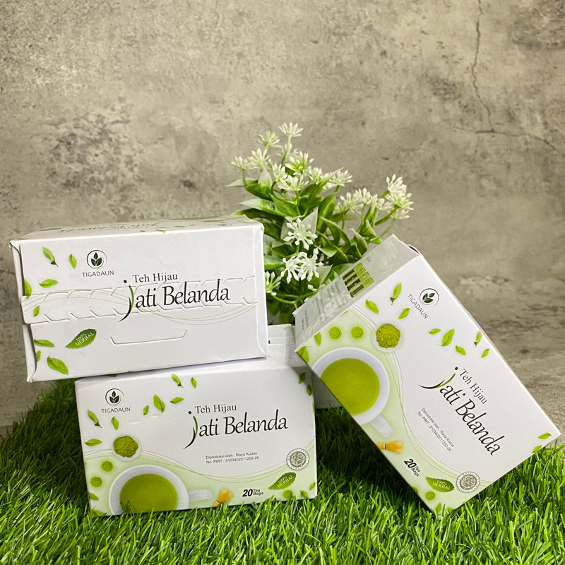 

Teh hijau jati belanda
