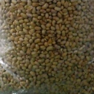 

Kedelai Goreng Gurih 250 g