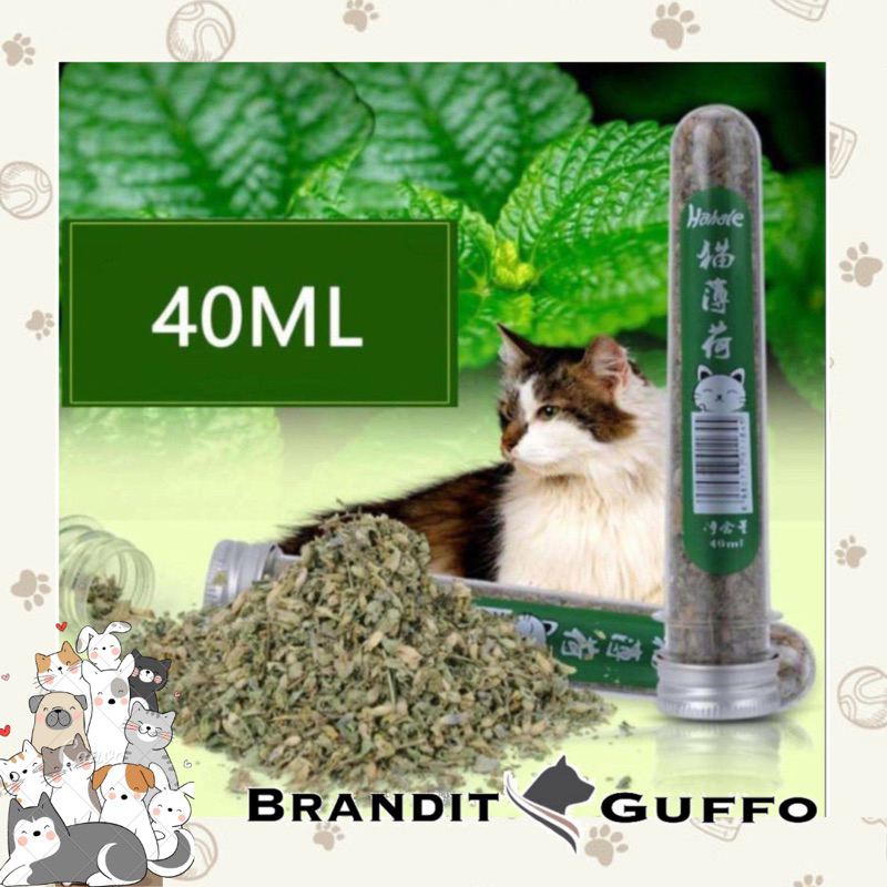 Bubuk catnip untuk kucing pure mint powder snack hewan peliharaan mainan