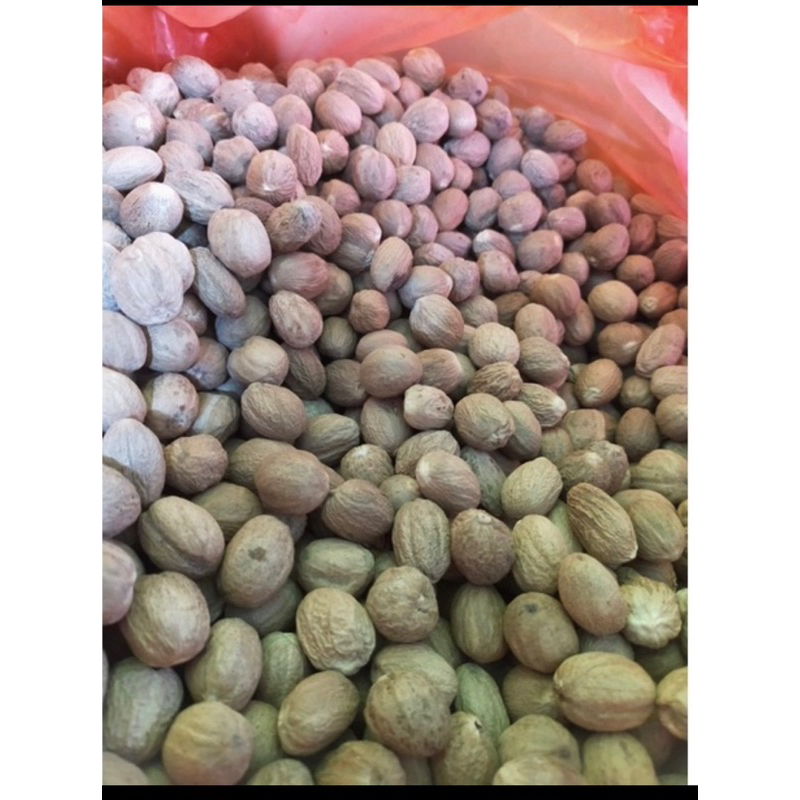 biji pala 1000gram  1kg / nutmeg whole Dijamin Fresh