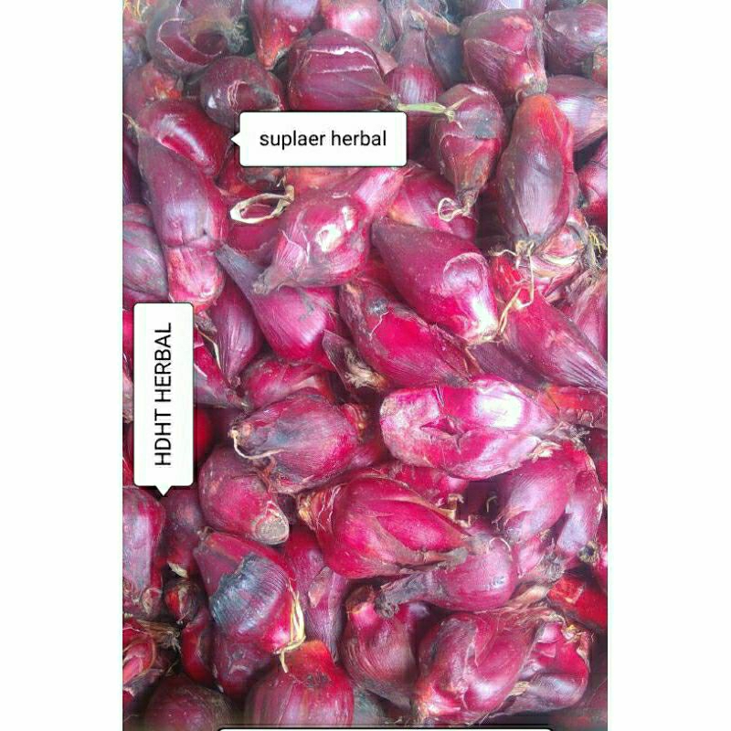 

Bawang dayak segar 1kg