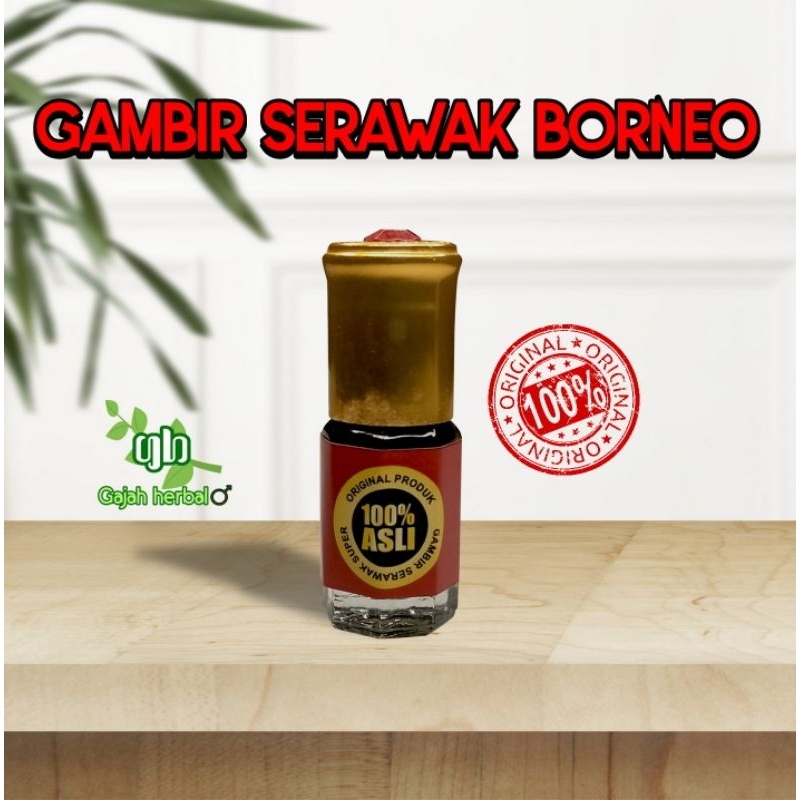 Herbal Gambir serawak borneo original stiker kuning