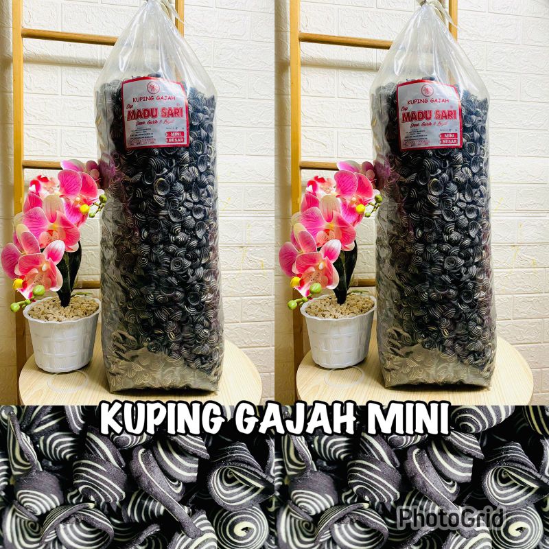 

Kuping Gajah Mini 500gram