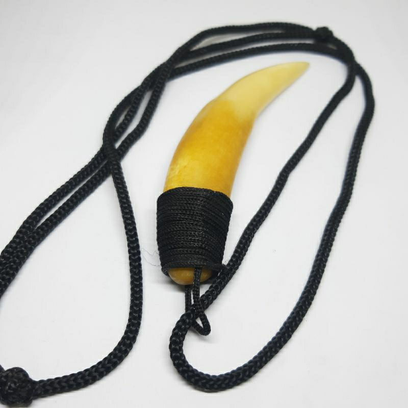 Kalung Tar Can panjang 10cm