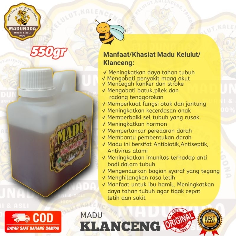 

Madu Klanceng Madu Kelulut Madu Trigona Murni 100% Termurah 550gr