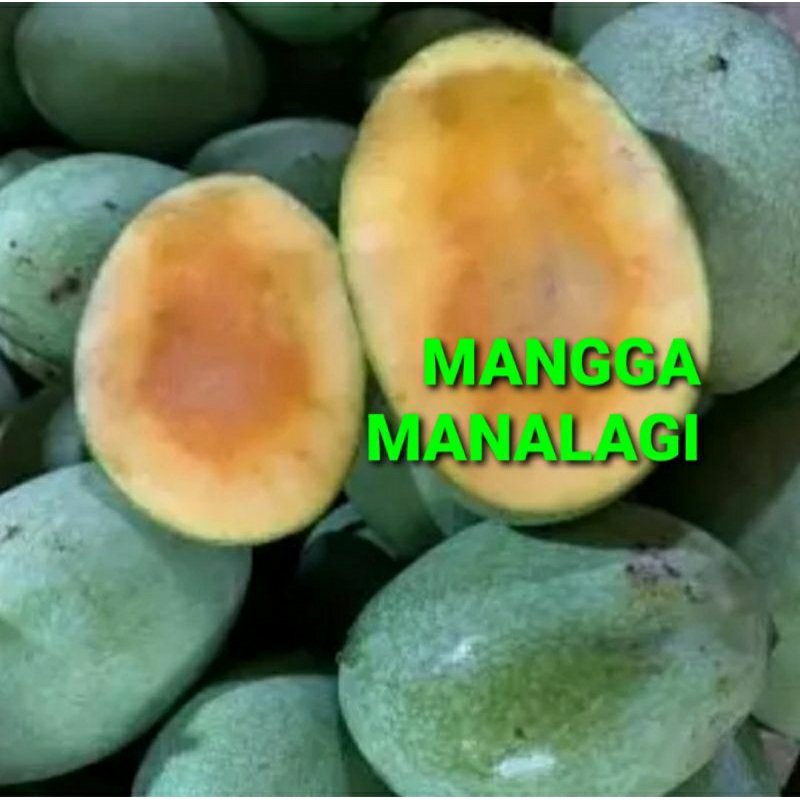 

MANGGA MANALAGI KHUSUS PARA SULTAN 1 KG (PREMIUM QUALITY)