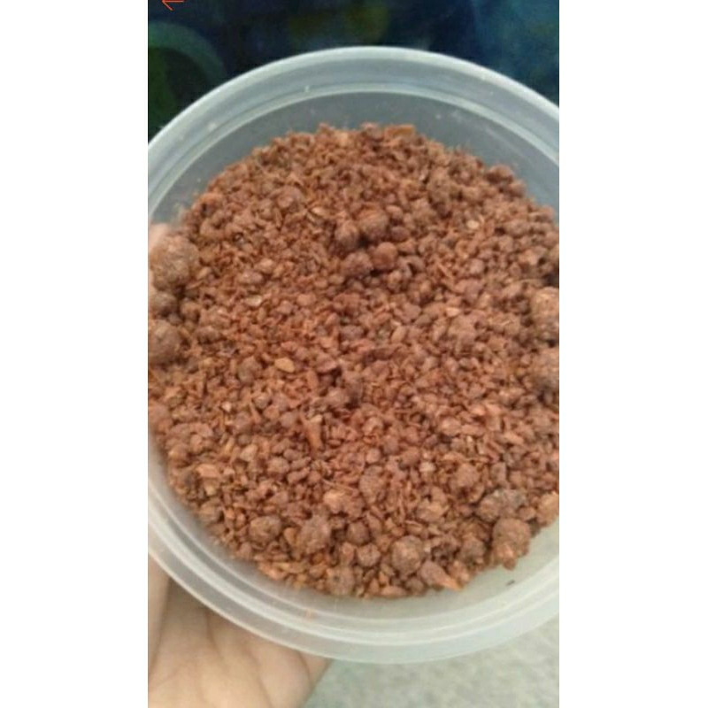 

terasi sangrai 250 gram