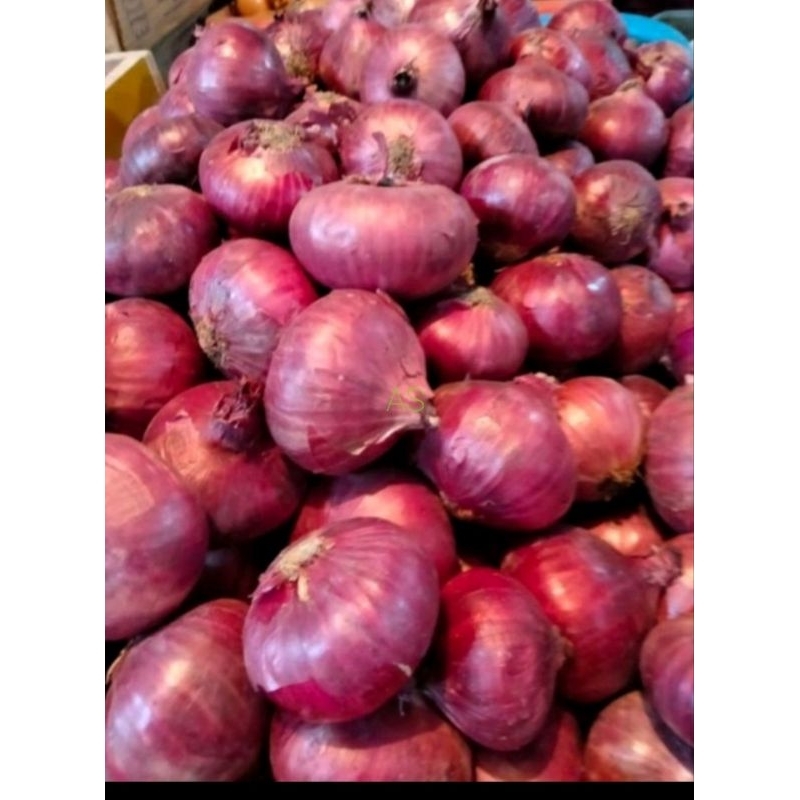 

Bawang Peking / Bawang merah india 500 gram