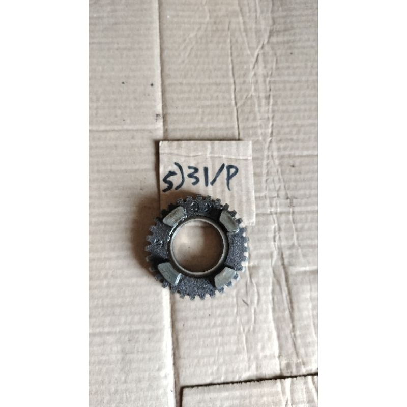 Gigi 5 rasio Tiger primer mata 31 original