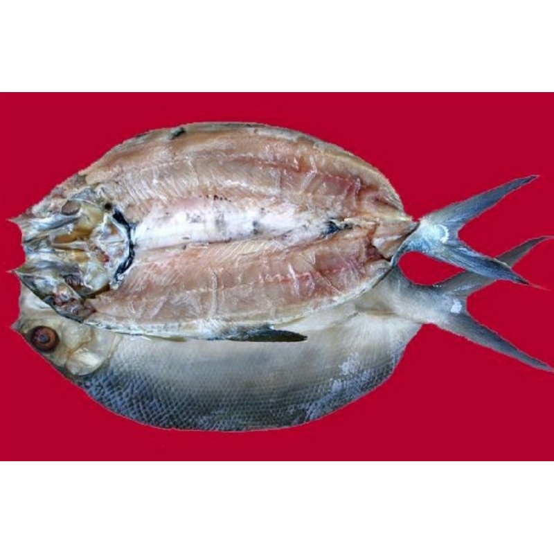 

Bandeng Ikan Asin Tanpa Duri (Cabut Duri) 1Kg "Khas Pemalang