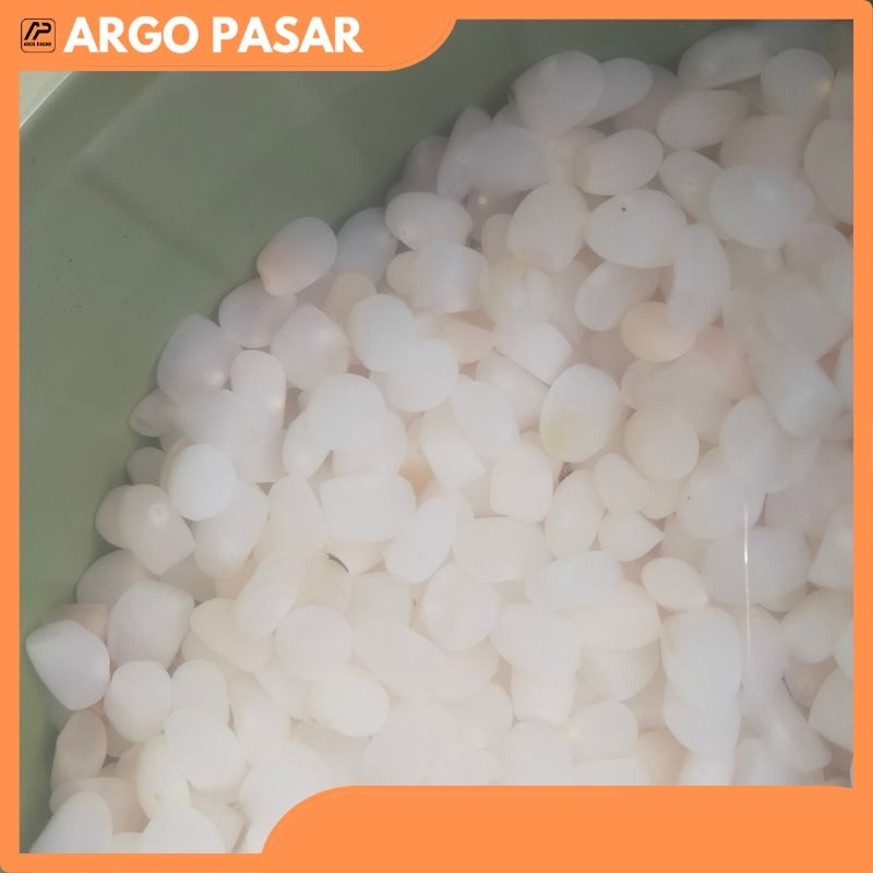 

kolang kaling buah aren murah 500 gram