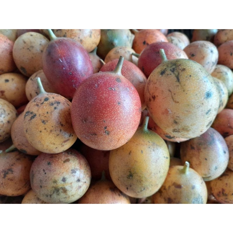 Markisa Madu Bali 1 kg Manis