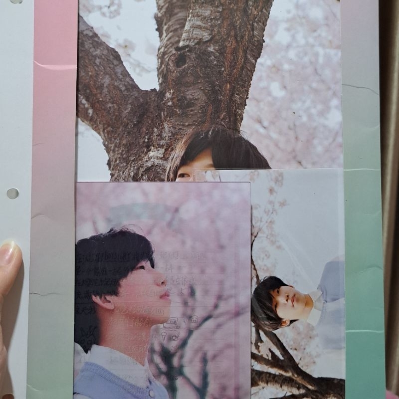 OFFICIAL BOYSTORY GROWING PROJECT 2019 LI ZIHAO