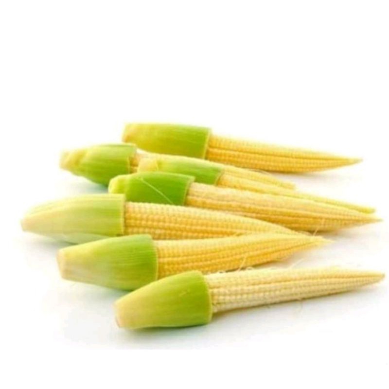 

jagung muda 250gr