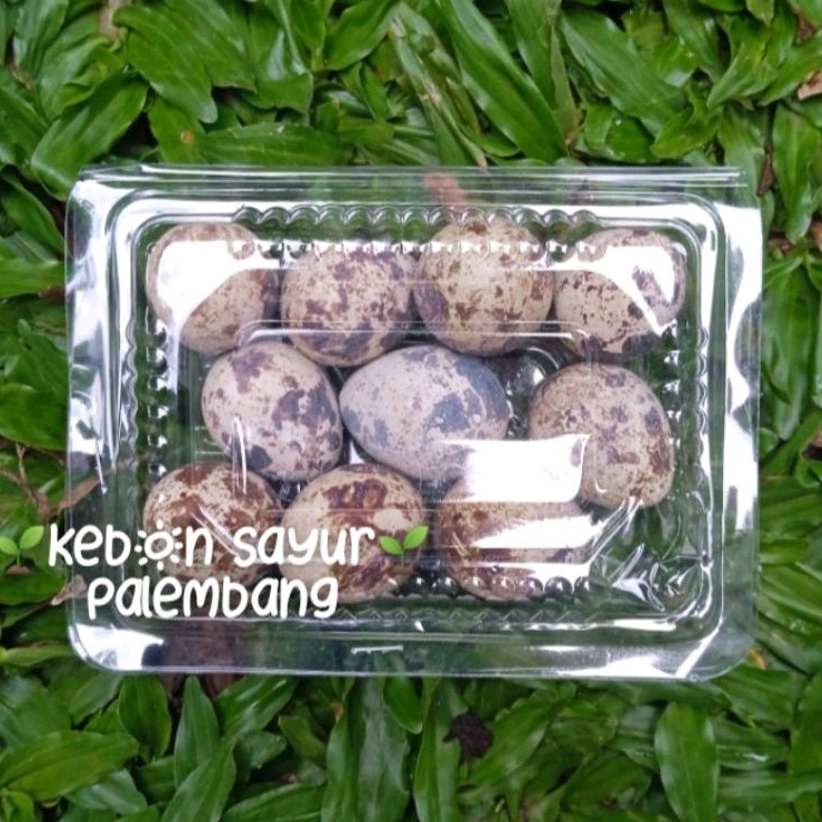 

telur puyuh 1 pack