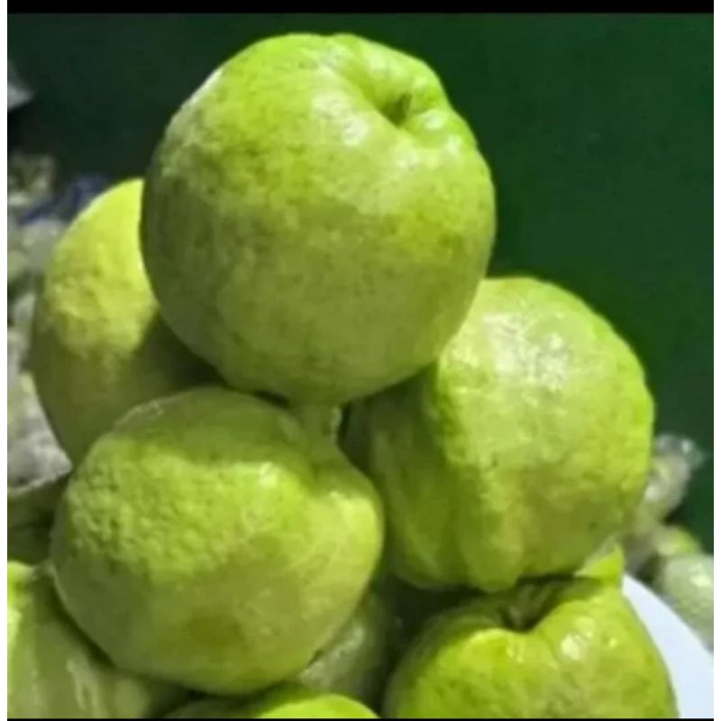 

Jambu Kristal Fresh