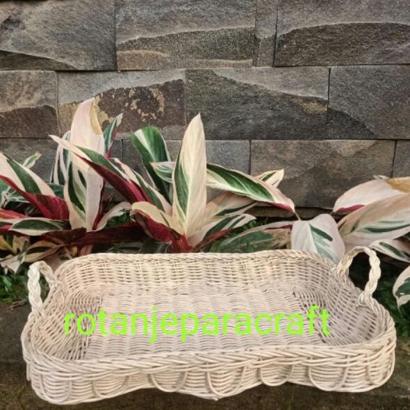 Nampan rotan/rotan nampan