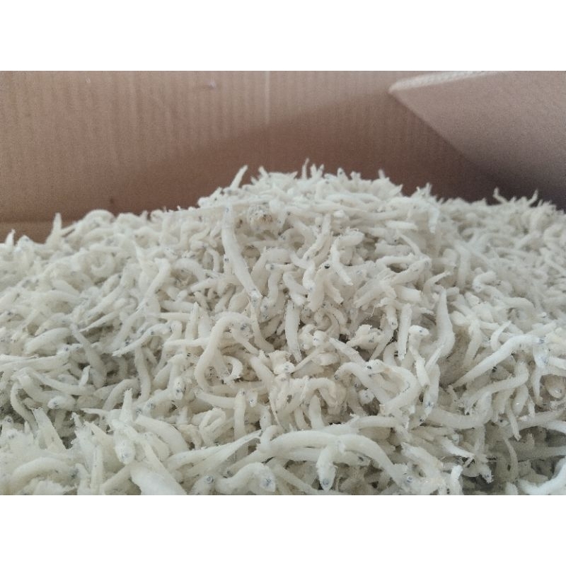 

Teri nasi 1kg/ikan asin teri medan/teri nasi ukuran sedang