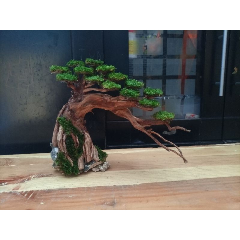 bonsai aquascape + moss weeping