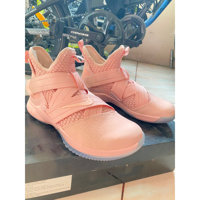 Nike lebron soldier XII SFG Pink