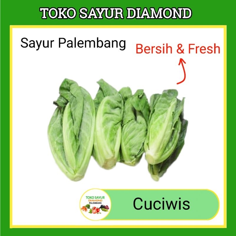 

Cuciwis Sayur Fresh Palembang