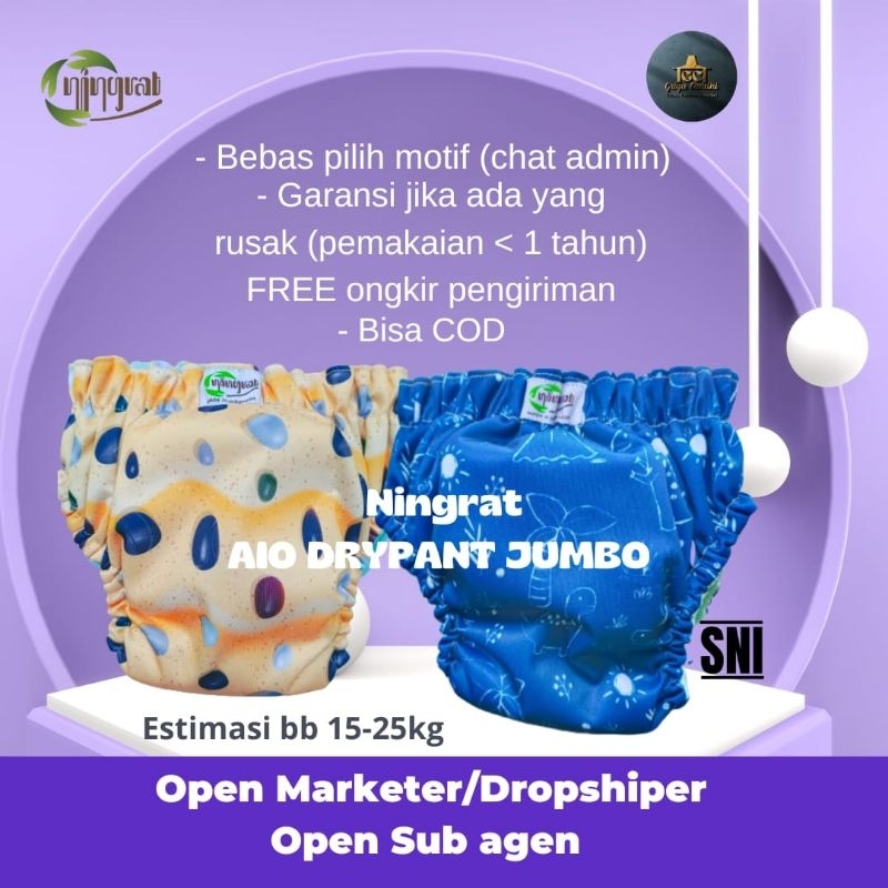 CLODI CELANA NINGRAT AIO DRYPANT JUMBO INSERT BISA DILEPAS