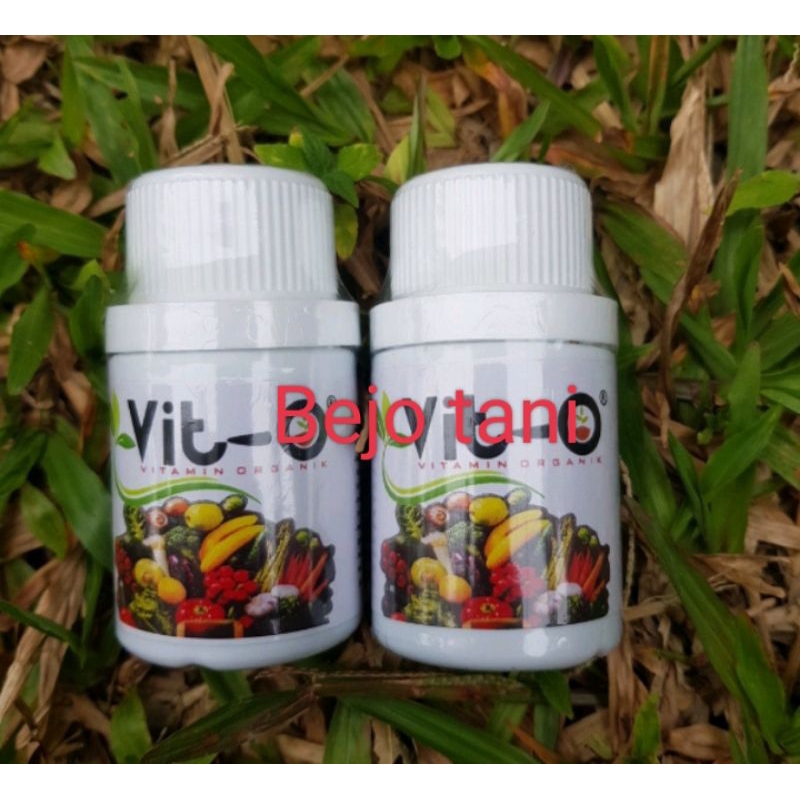 Vit-o vitamin tanaman dan nutrisi segala tanaman buah