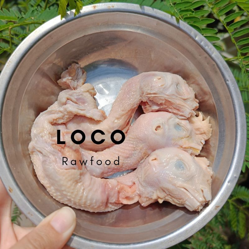 

READY Kepala ayam 1 kg / LOCO Rawfood chicken head / Raw food chicken / Leher ayam / Chicken Head / Makanan anjing / Makanan kucing / Pakan hewan