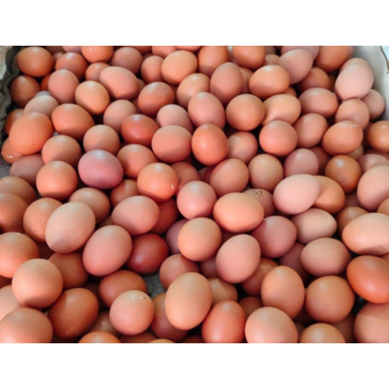 

Telur Ayam 10pcs