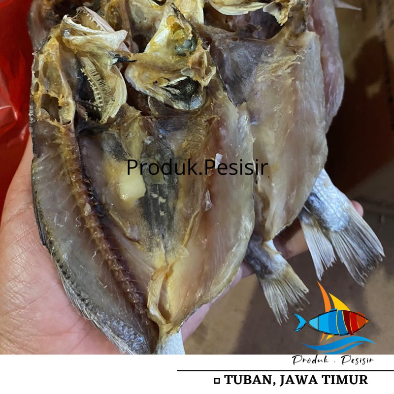 

Ikan Kepala Batu Asin/ Gulama/ Tetet/ Samge