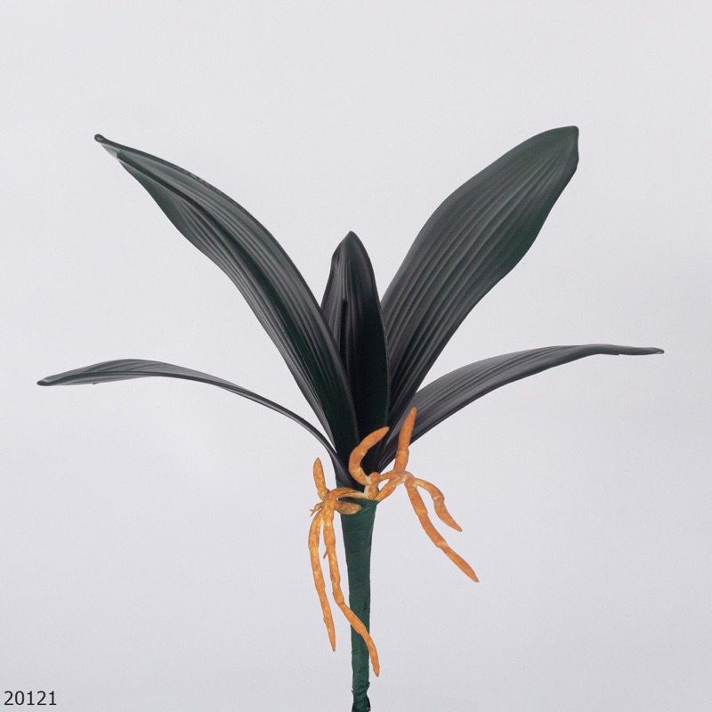 DAUN ANGGREK LATEX PREMIUM Bahan Latex Hiasan Dekorasi Bunga Hias