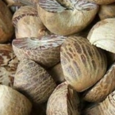 

TERBAIK HERBAL BIJI PINANG KERING 1 KG