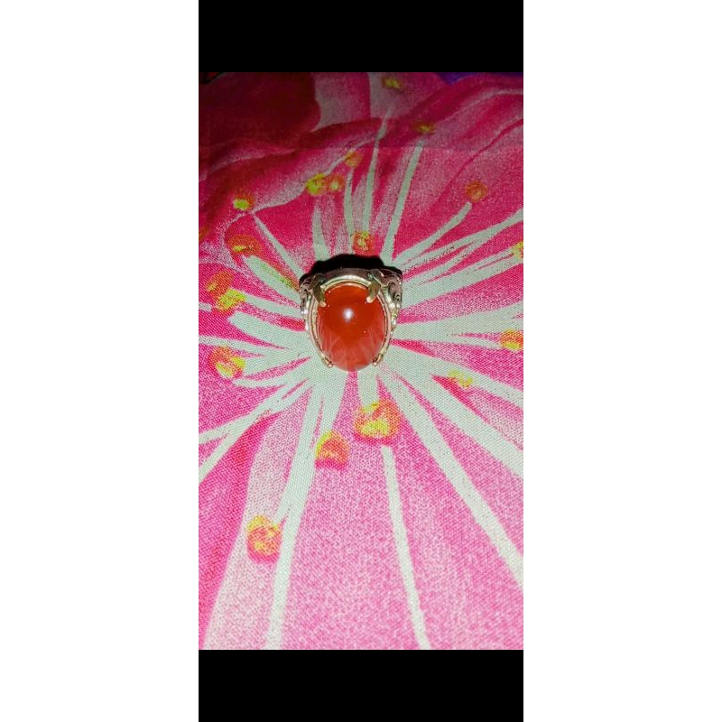 BATU CINCIN RAFLESIA