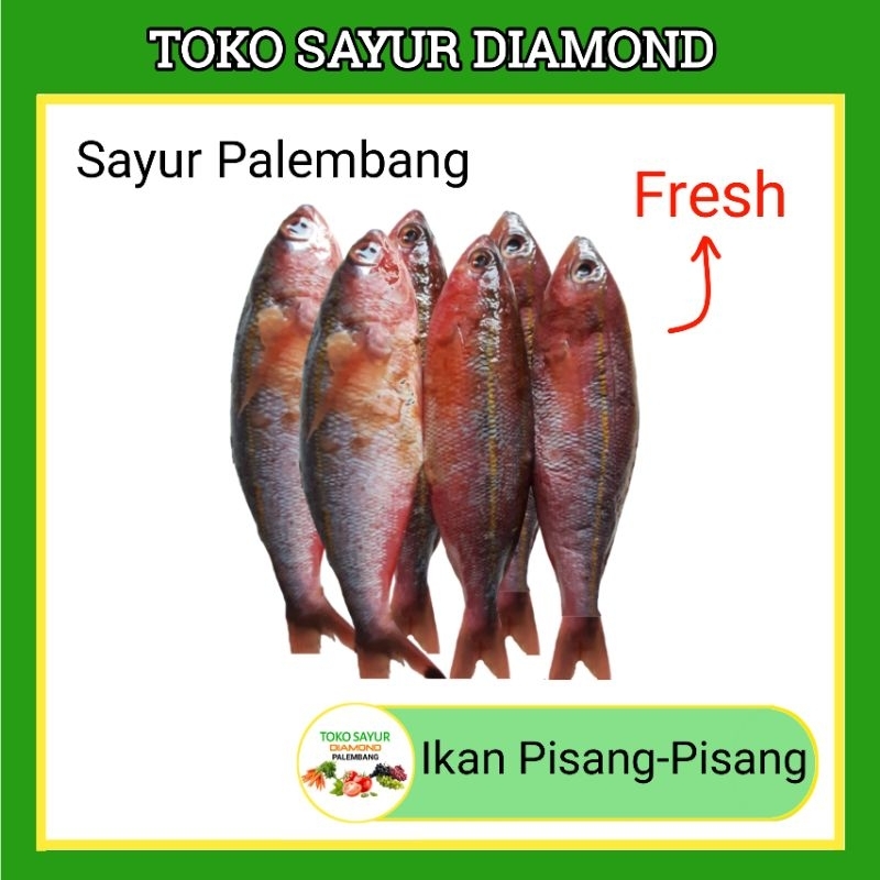 

Ikan Pisang - Pisang Fresh Palembang