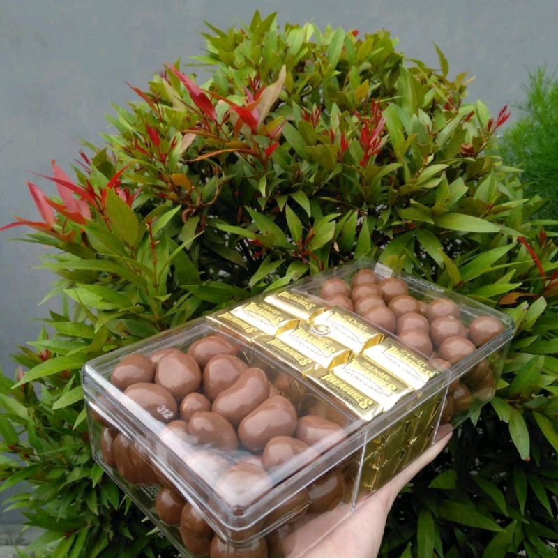 

Paket Coklat Delfi Toples skat 3