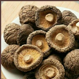 

Jamur Shitake Kering 50 gram