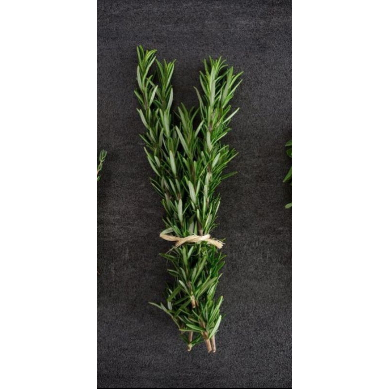 

Rosemary Segar 75 gram