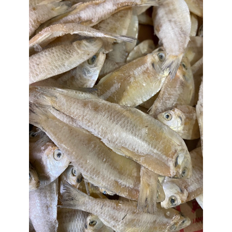 

Kalapan/ pakang Tawar Gurih Kecil 100 g dan 250 gram