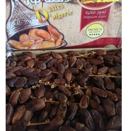 

Kurma Tunis Tangkai