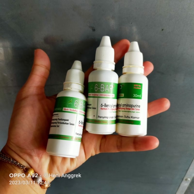 hormon tetes 6-BAP/ 6BAP