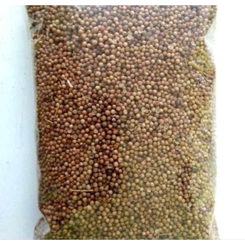 

1 kg | Ketumbar Coklat/Ori | Ketumbar Putih | Coriander
