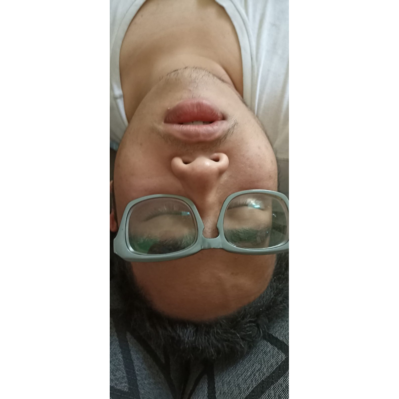 Mainan.Figur.Shrek.Original