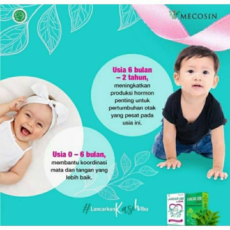 Lancar Asi Isi 30 Kaplet Original / Plus DHA