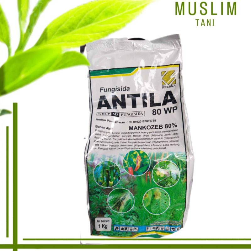 Antila 80WP 1kg