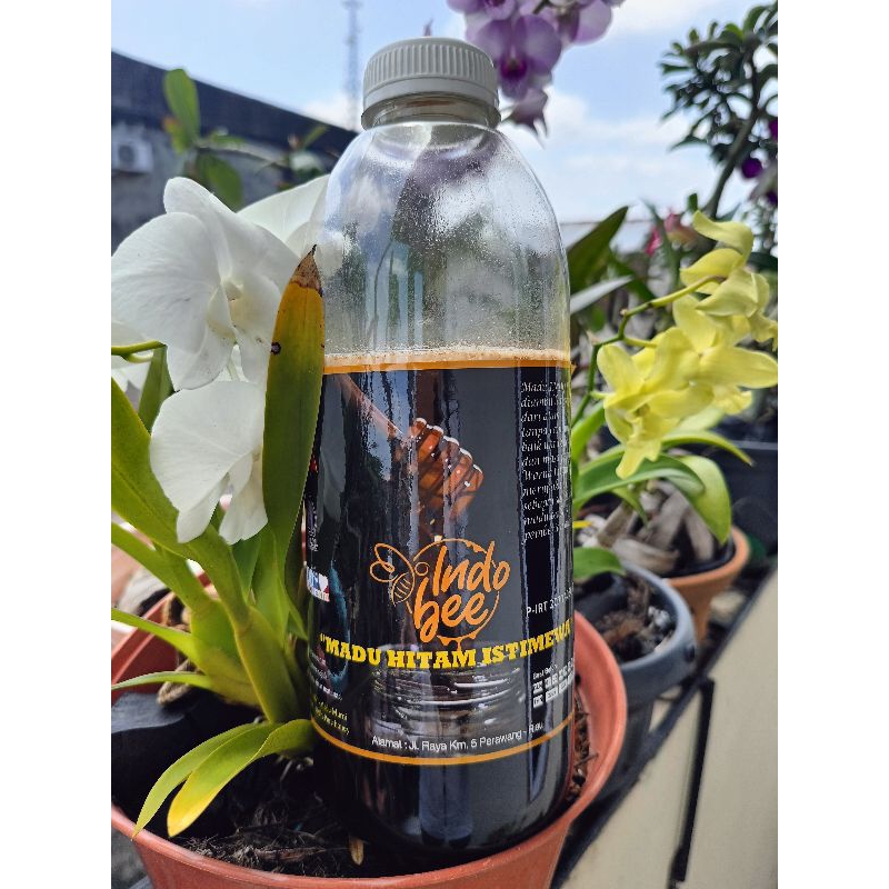 

Raw Honey # Madu Akasia Asli 100% 5Kg